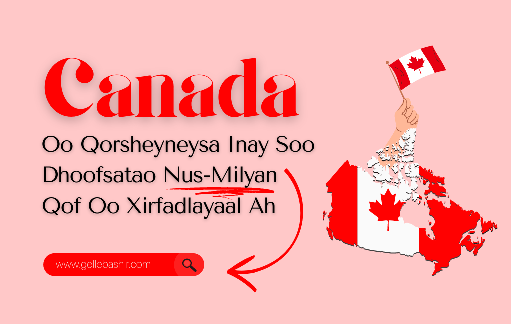 Canada Oo Qorsheyneysa Inay Soo Dhoofsatao Nus-Milyan Qof Oo Xirfadlayaal Ah Sanadka 2025-Ka