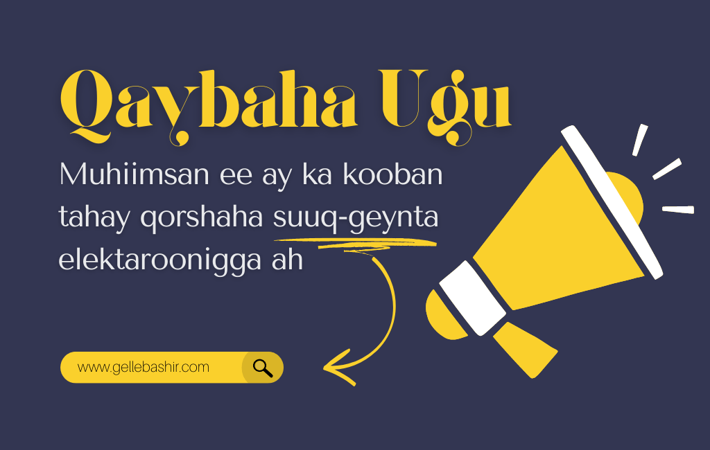 Qaybaha ugu muhiimsan ee ay ka kooban tahay qorshaha suuq-geynta elektaroonigga ah