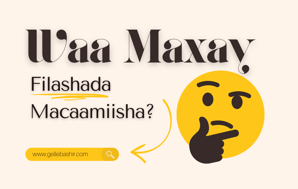 Waa maxay filashada macaamiisha?