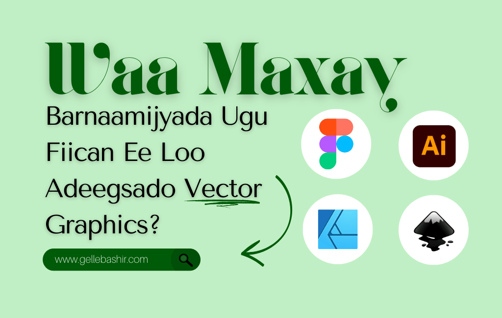 Waa Maxay Barnaamijyada Ugu Fiican Ee Loo Adeegsado Vector Graphics?