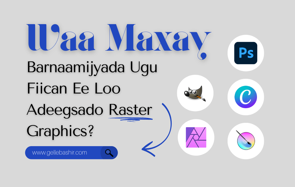 Waa Maxay Barnaamijyada Ugu Fiican Ee Loo Adeegsado Raster Graphics?