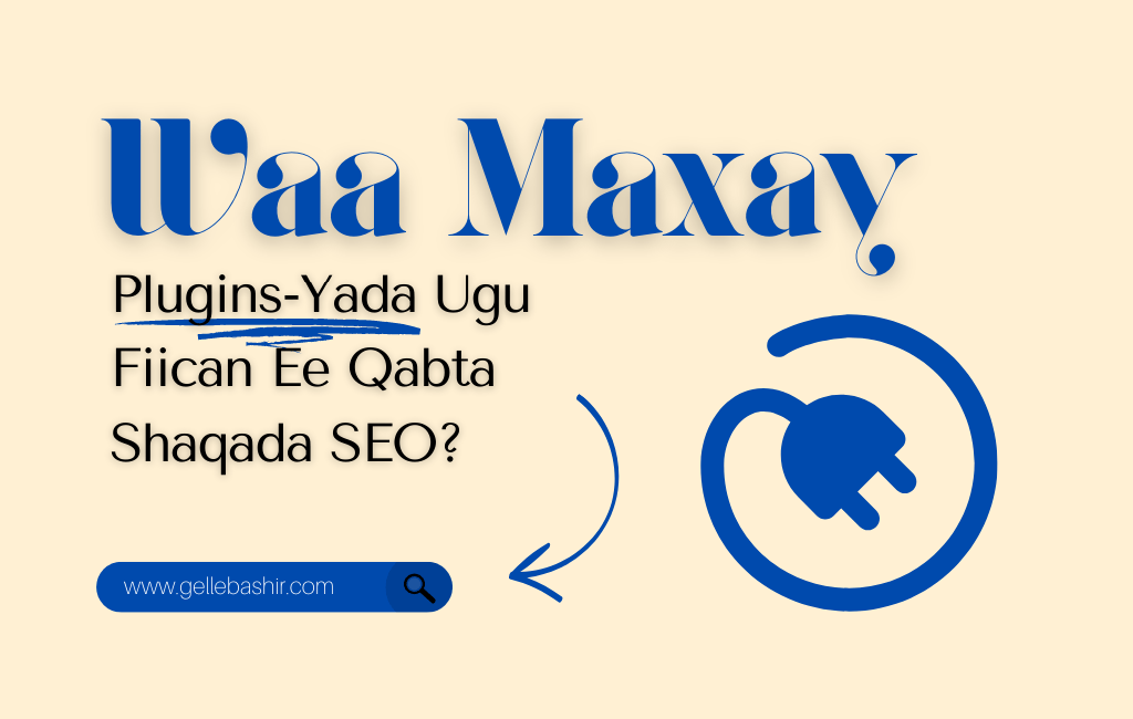 Waa Maxay Plugins-Yada Ugu Fiican Ee Qabta Shaqada SEO