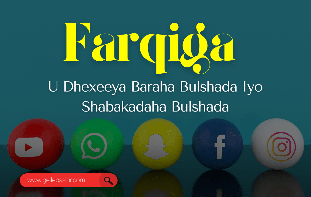 Farqiga U Dhexeeya Baraha Bulshada Iyo Shabakadaha Bulshada