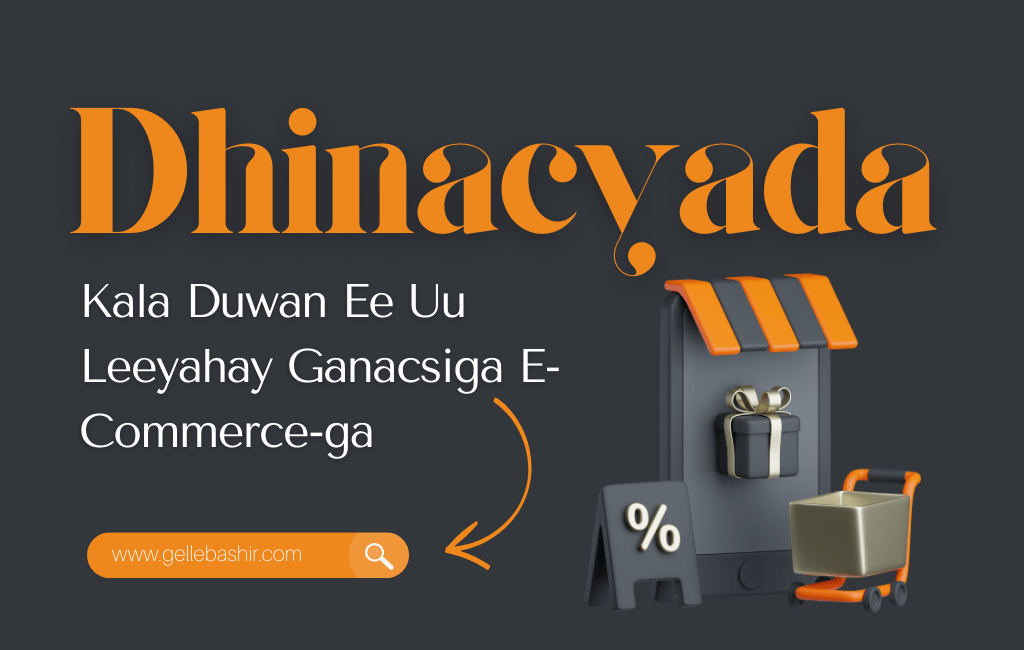 Dhinacyada Kala Duwan Ee Uu Leeyahay Ganacsiga E-Commerce-ga