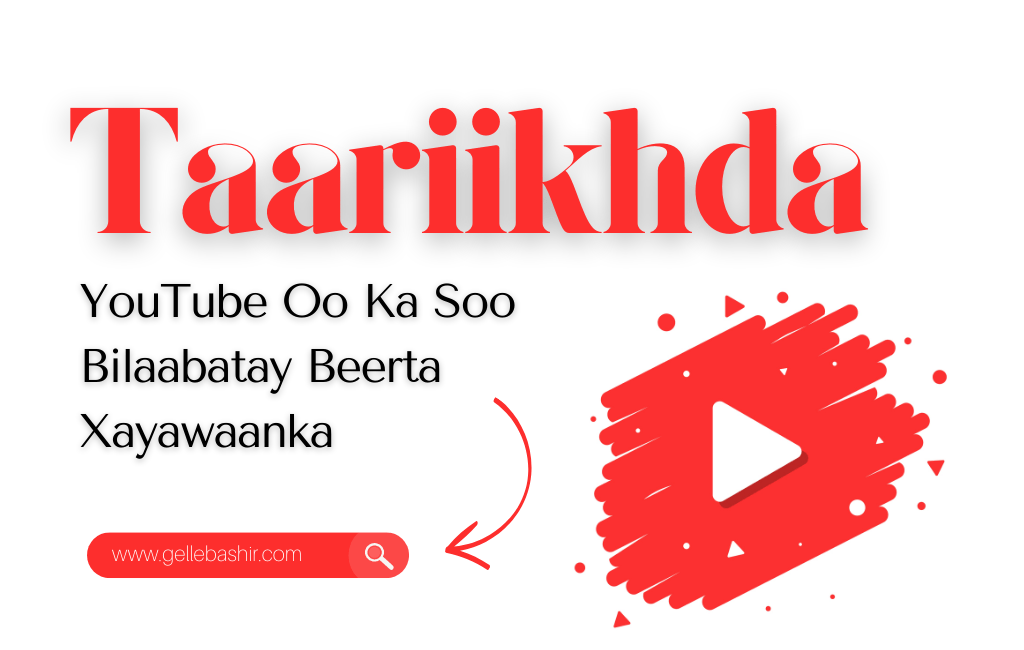 Taariikhda YouTube Oo Ka Soo Bilaabatay Beerta Xayawaanka