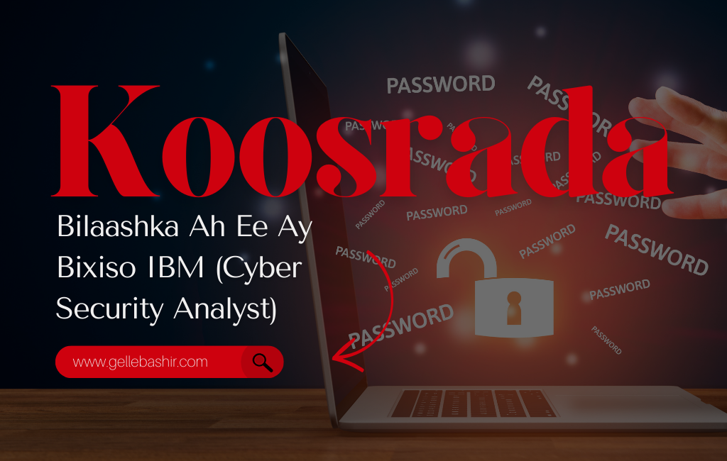 Koosrada Bilaashka Ah Ee Ay Bixiso IBM (Cyber Security Analyst)