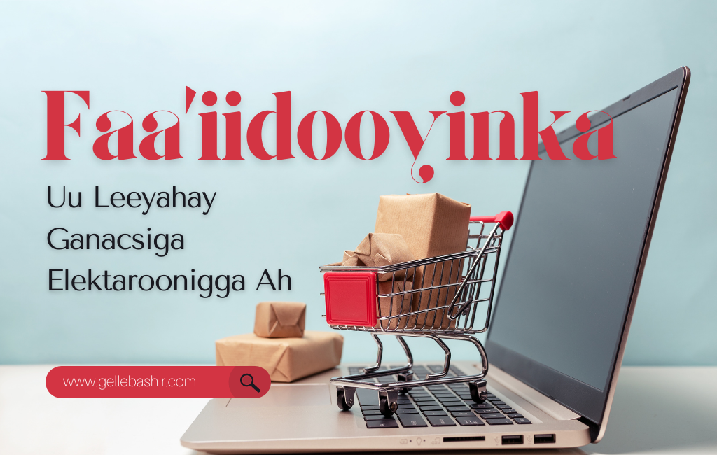 Faa’iidooyinka ganacsiga elektarooniga ahi sanadihii ugu danbeeyay wuxuu gaadhay guulo weyn oo la taaban karo, waxaynuna dhamaanteen ogaanay in dhaq-dhaqaaqa dhaqaaluhu uu ku sii wajahan yahay dhankaa iyo ganacsiga elektarooniga ah, maqaalkeenan maanta waxaynu dul istaagaynaa faa'iidooyinka ganacsiga elektaroonigga ahi uu u leeyahay shakhsiyaadka iyo shirkadahaba.