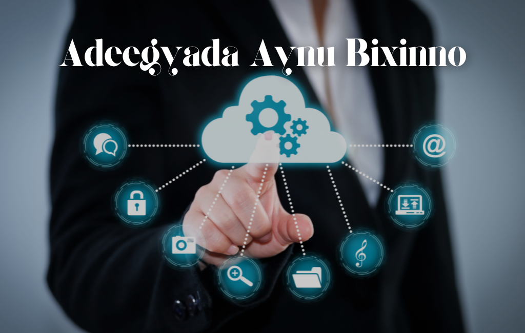 Adeegyada Aynu Bixinno