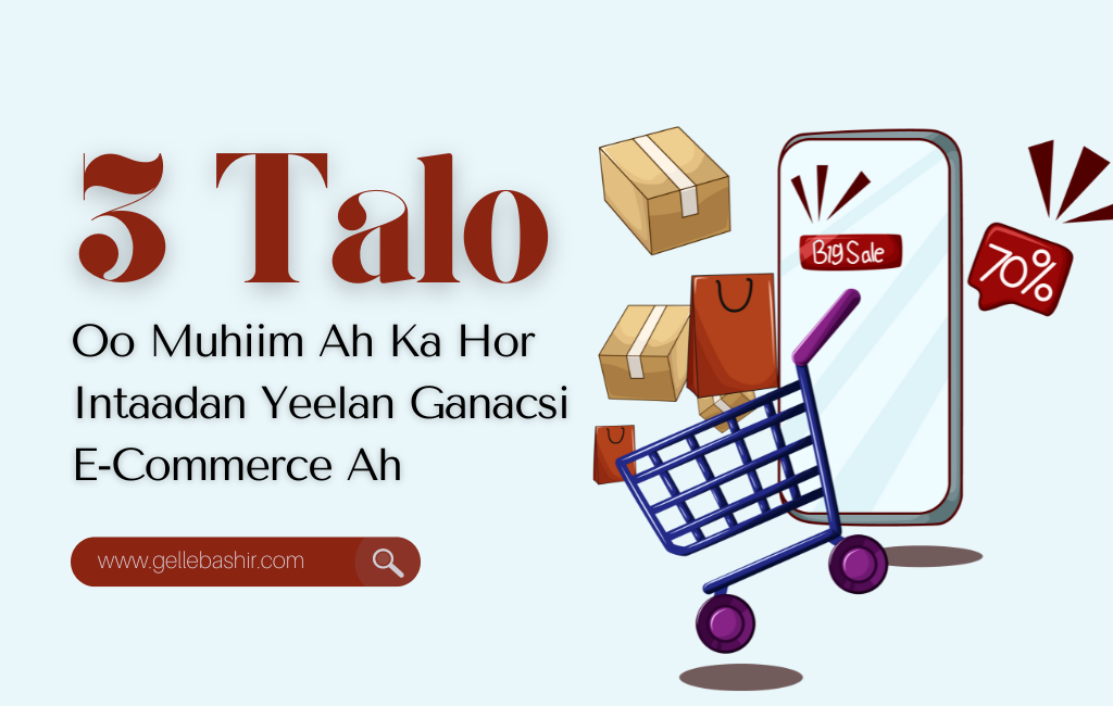 3 Talo Oo Muhiim Ah Ka Hor Intaadan Yeelan Ganacsi E-Commerce Ah